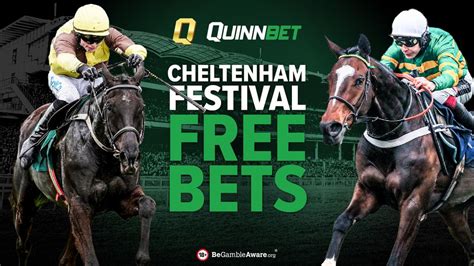 quinnbet cheltenham offers